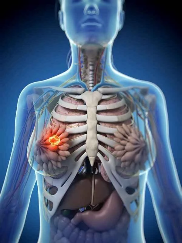 Moderate sexual activity contributes to the health of the female reproductive system.