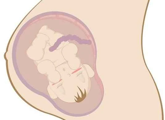 What changes occur in the female sexual organs in response to sexual activity?